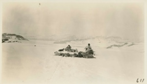 Image: Sledging on the ice cap